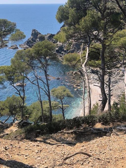 Apartmán Petite Endroit Splendide. Six-Fours-les-Plages Exteriér fotografie