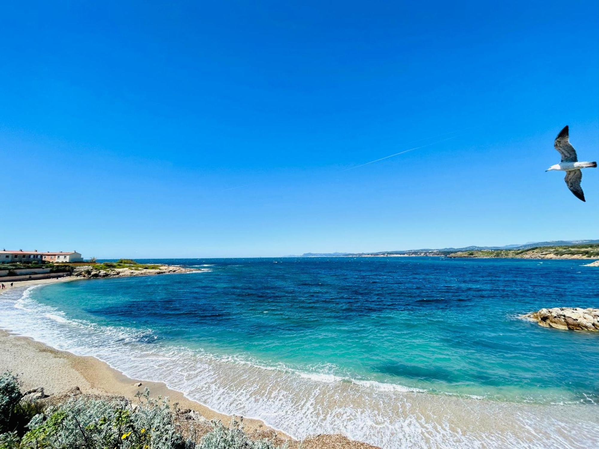 Apartmán Petite Endroit Splendide. Six-Fours-les-Plages Exteriér fotografie